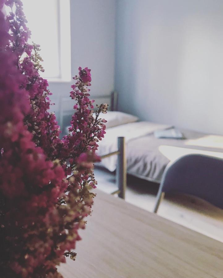 Lawendowy Hostel Wrocław Kültér fotó